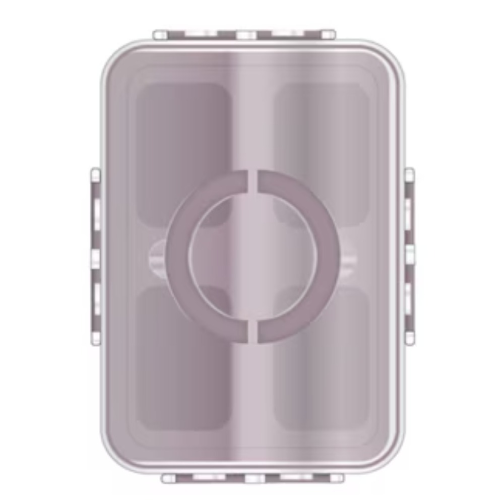 4-Compartment Mini Snack Box F – обзор и цена Food Snacks Box